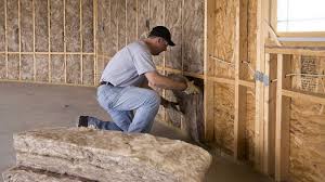 Best Blown-In Insulation  in Knoxville, TN