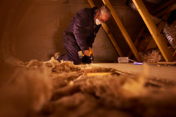 Best Blown-In Insulation  in Knoxville, TN